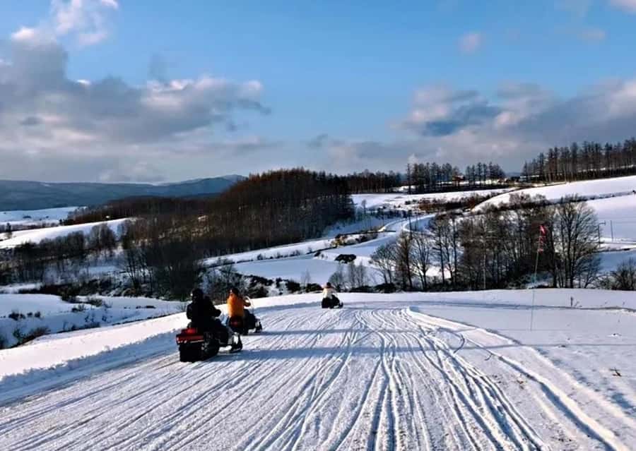 Sapporo: Furano Lavender & Biei Blue Pond Tour with Lunch - Who should book this tour?