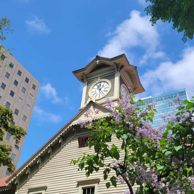 Sapporo Highlights: Golden Route Morning Guided Walking Tour - Meeting beneath Sapporo TV Tower at 10:00