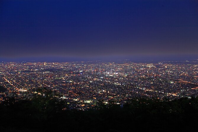 Sapporo Mt. Moiwa & Asahiyama Memorial Park Night View Trip - Mt. Moiwa’s ropeway and mini cable car