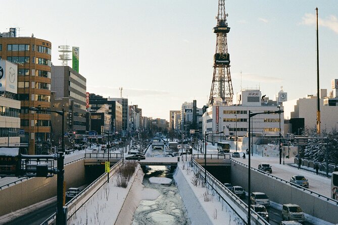 Sapporo ⇔ New Chitose Airport Private Transfer | Licensed Driver - Choosing Between a Voxy, Alphard, and HiAce