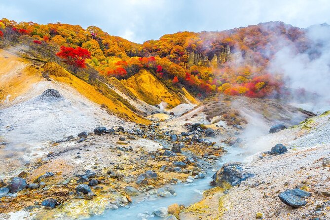 Sapporo: Noboribetsu Hell Valley, Lake Toya & Bear Farm Tour - Key points to know before booking