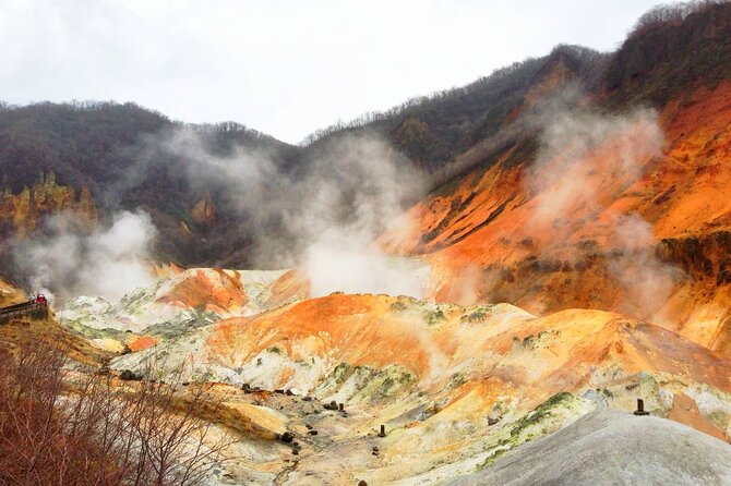 Sapporo: Noboribetsu Hell Valley, Lake Toya & Bear Farm Tour - A winter day from Sapporo to Hokkaido’s volcanic heart