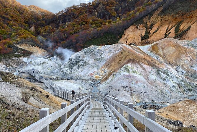 Sapporo: Noboribetsu Hell Valley, Lake Toya & Bear Farm Tour - Lake Hill Farm, a short snowy pause