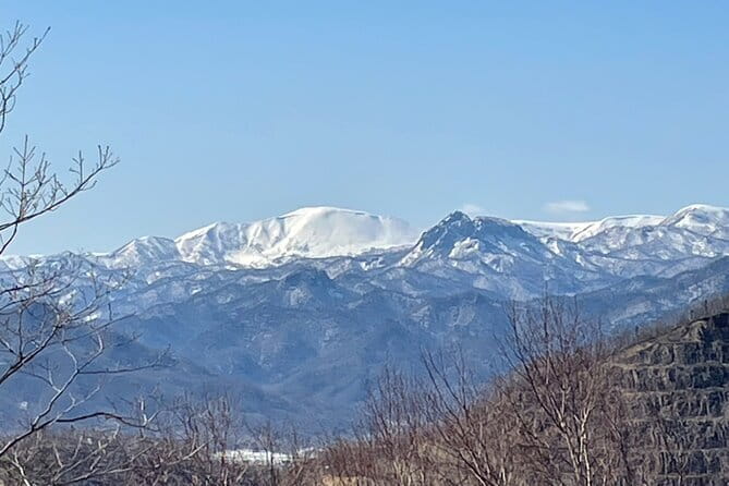 Sapporo Private Sightseeing Tour in Onsen with Special Package - What the $201.97 price buys you