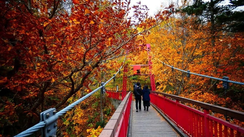 Sapporo: The Indigenous Ainu People & Jozankei walking tour - The journey from Sapporo takes time, but it changes the rhythm