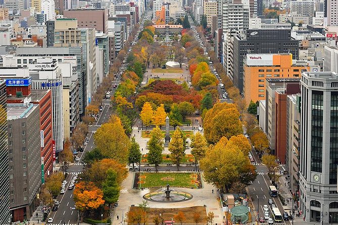Sapporo TV Tower - Price, ticket format, and practical value