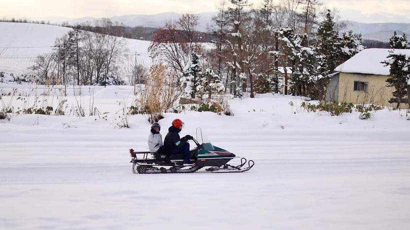 Sapporo Winter : Asahiyama Zoo (Penguin Fun & Snowmobile) - The Ken and Mary Tree from the warm bus
