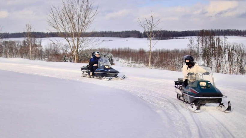 Sapporo Winter : Asahiyama Zoo (Penguin Fun & Snowmobile) - What the $58 price really covers