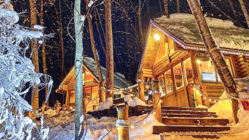 Sapporo Winter : Asahiyama Zoo (Penguin Fun & Snowmobile) - Who should choose this tour