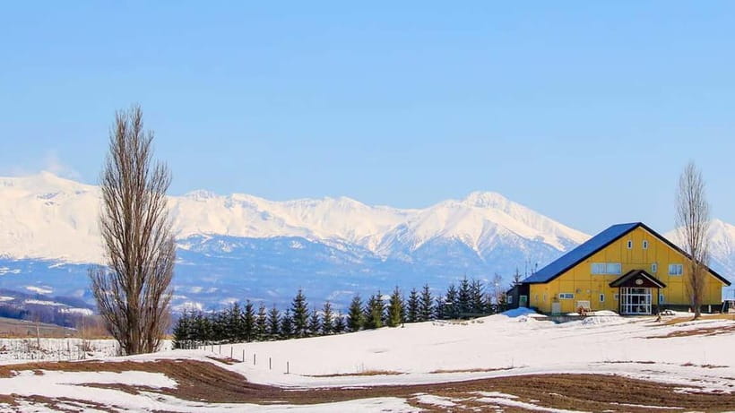 Sapporo Winter : Asahiyama Zoo (Penguin Fun & Snowmobile) - Should you book the Sapporo winter day trip?
