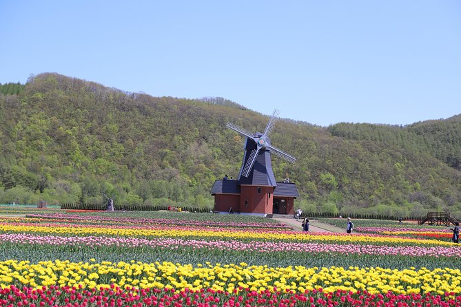 [Shibazakura / Tulip] Going by private car, Shibazakura Takinoue Park and Kamiyubetsu Tulip Park (from Sapporo) - A seafood stop at Marukaichi Suisan