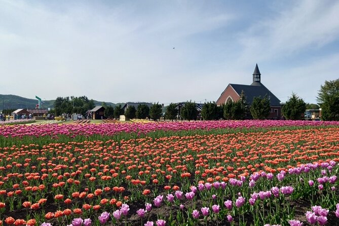 [Shibazakura / Tulip] Going by private car, Shibazakura Takinoue Park and Kamiyubetsu Tulip Park (from Sapporo) - What the private car changes