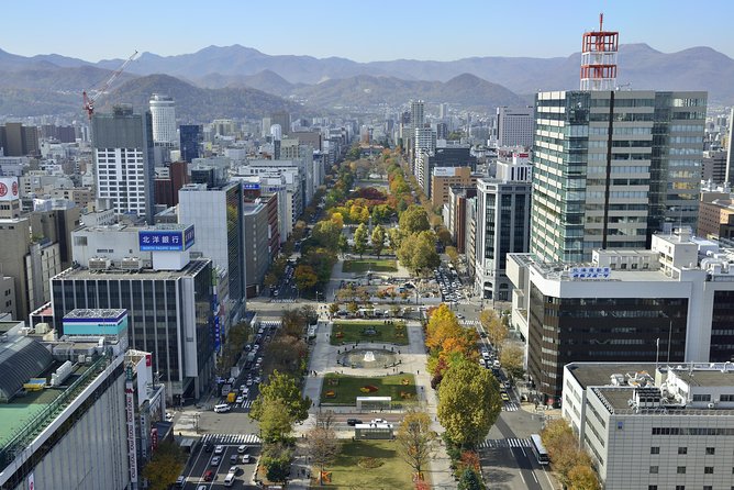 SkyExpress: Sapporo Customised Private Day Tour (Up to 8 Passengers) - What the $366 price really buys you