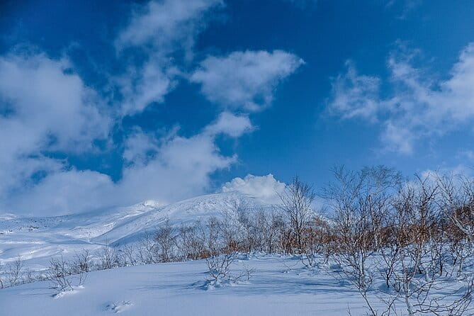 Snowshoe Adventures and Onsen Bliss Winter Escape in Furano - One hour among Ezomatsu and Nanakamado