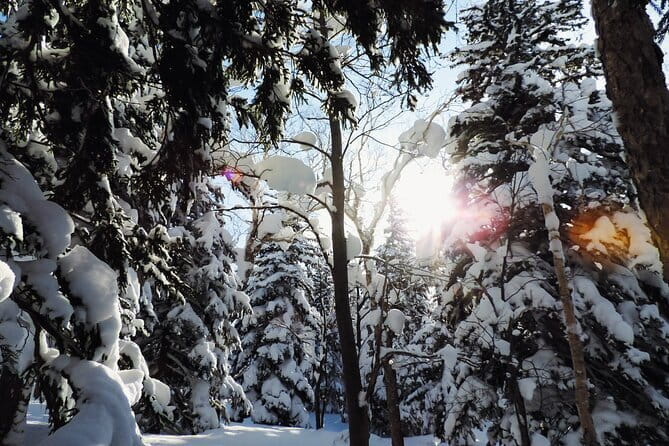 Snowshoe Adventures and Onsen Bliss Winter Escape in Furano - The drive from Furano to Fukiage Onsen