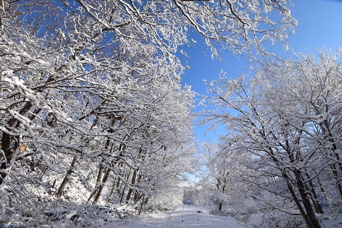 Snowshoe Hike Tour from Sapporo include hotel p/up & drop off - Getting fitted with snowshoes and winter gear
