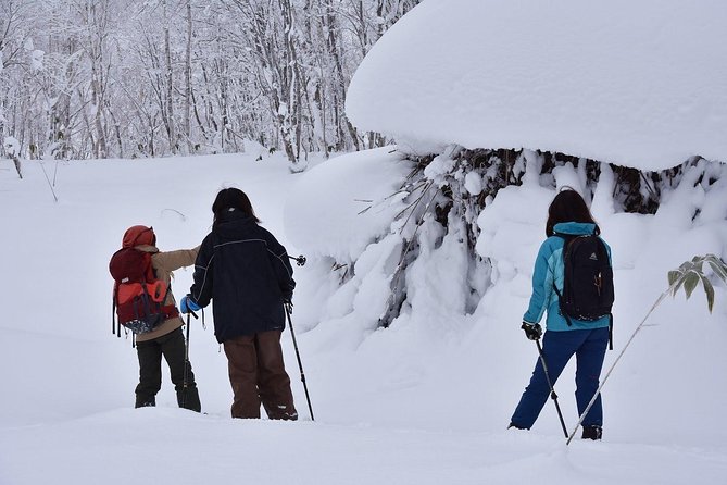 Snowshoe Hike Tour from Sapporo include hotel p/up & drop off - Tea, local snacks, and a welcome pause