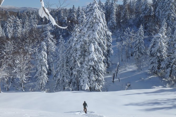 Snowshoe Hike Tour from Sapporo include hotel p/up & drop off - Jozankei Onsen after the hike