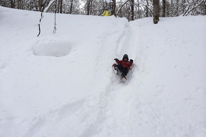 Snowshoe Hike Tour from Sapporo include hotel p/up & drop off - What the $308.73 price really covers