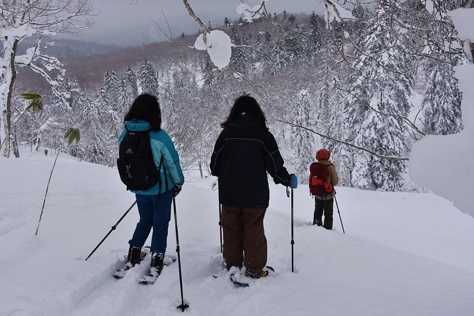 Snowshoe Hike Tour from Sapporo include hotel p/up & drop off - Who will enjoy this winter day most