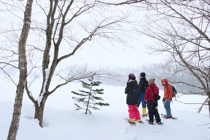 Snowshoe tours in Niseko Explore beautiful snowscapes adventure - Snowshoes, boots, and the clothing you must bring