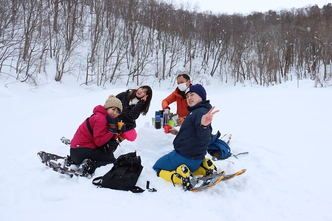 Snowshoe tours in Niseko Explore beautiful snowscapes adventure - A small group with private transportation