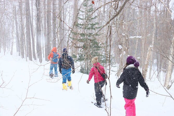 Snowshoe tours in Niseko Explore beautiful snowscapes adventure - Hot drinks in the snow