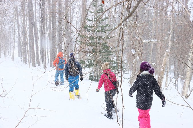 Snowshoe tours in Niseko Explore beautiful snowscapes adventure - Who will enjoy this walk most