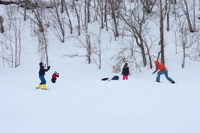 Snowshoe tours in Niseko Explore beautiful snowscapes adventure - Booking, weather, and cancellation details