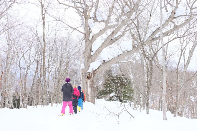 Snowshoe tours in Niseko Explore beautiful snowscapes adventure - The route to Lake Hangetsu