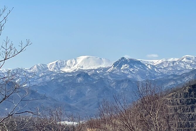Snowshoeing and Onsen Adventures in a Winter Wonderland -Sapporo. - Key points at a glance