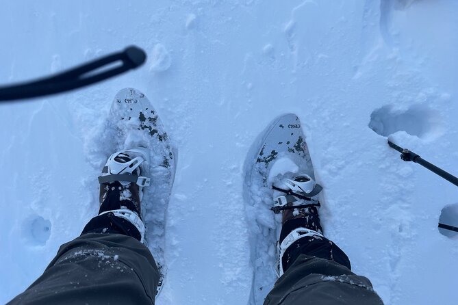 Snowshoeing and Onsen Adventures in a Winter Wonderland -Sapporo. - Five hours in the forest near Sapporo