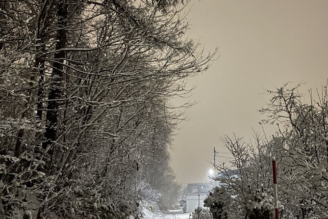 Snowshoeing and Onsen Adventures in a Winter Wonderland -Sapporo. - Lunch in the snow