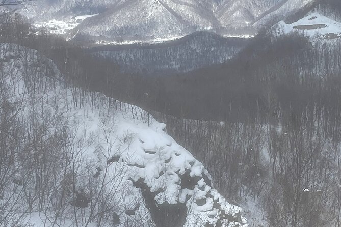 Snowshoeing and Onsen Adventures in a Winter Wonderland -Sapporo. - What the $224.02 price really covers