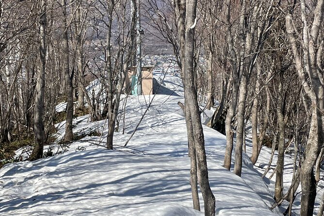 Snowshoeing and Onsen Adventures in a Winter Wonderland -Sapporo. - Who should book this snowshoe outing?
