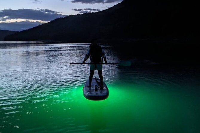 Sunset and Light Up Stand-Up Paddle with a Certified Guide - Key points to know before booking