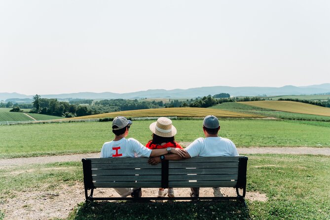 Wherever you want! 1-Day Private Tour from Sapporo to Furano more - Lake Toya and the wider volcanic setting