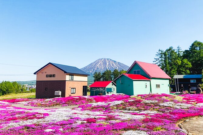 Wherever you want! 1-Day Private Tour from Sapporo to Furano more - Drivers who make the day easier